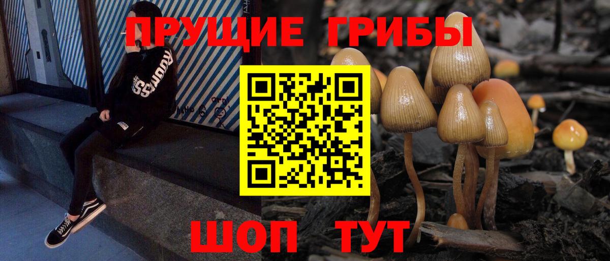 Семилуки  купить наркотики сайты  Вход с VPN  Псилоцибиновые грибы Psilocybine cubensis  Псилоцибиновые грибы мухоморы 